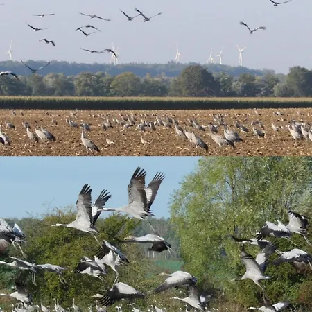 Janet Ratschkowski By Interhome *