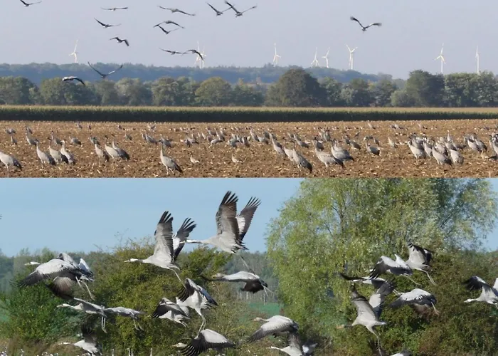 Janet Ratschkowski By Interhome *