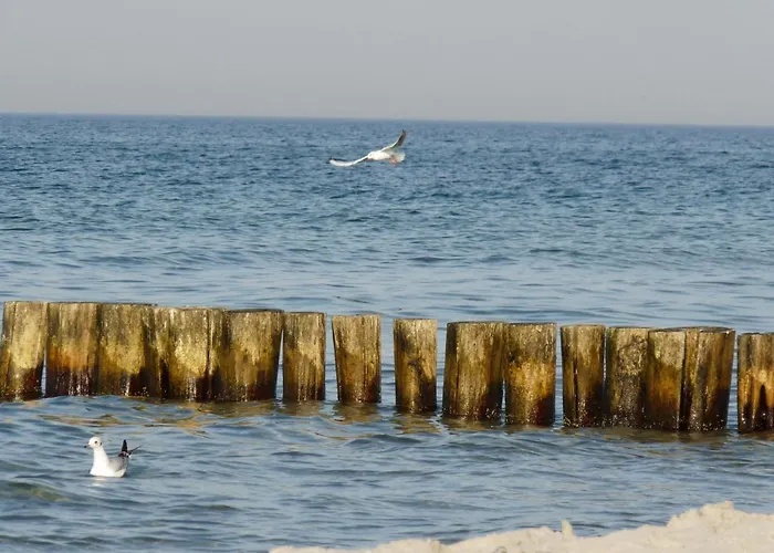 Janet Ratschkowski By Interhome 펜션 바르트