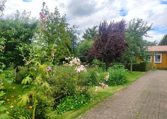 Janet Ratschkowski By Interhome 바르트