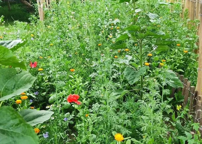 Janet Ratschkowski By Interhome 펜션 *